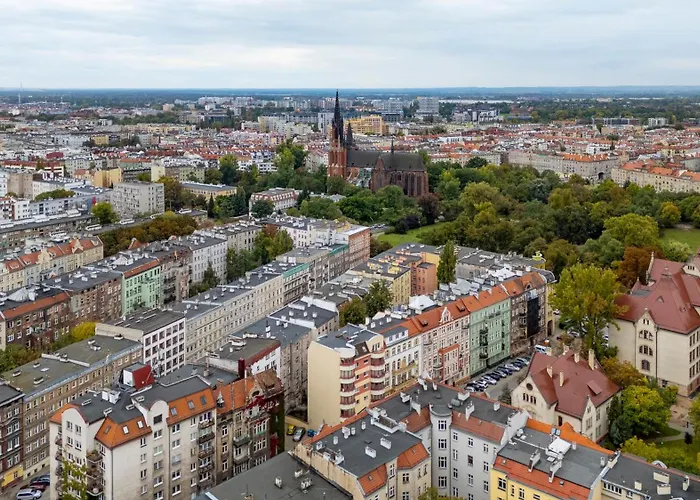 Rozbrat Ołbin, Sun&snow *